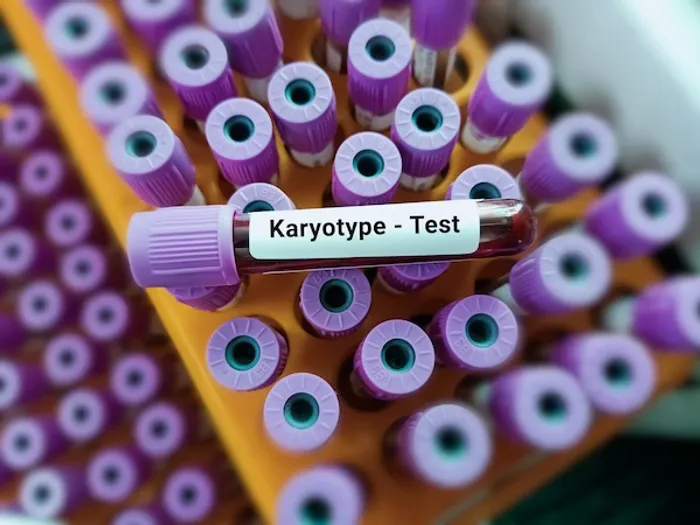 karyotype